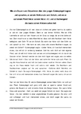 1 Wie alle über den jungen Eulenspiegel klagten.pdf
